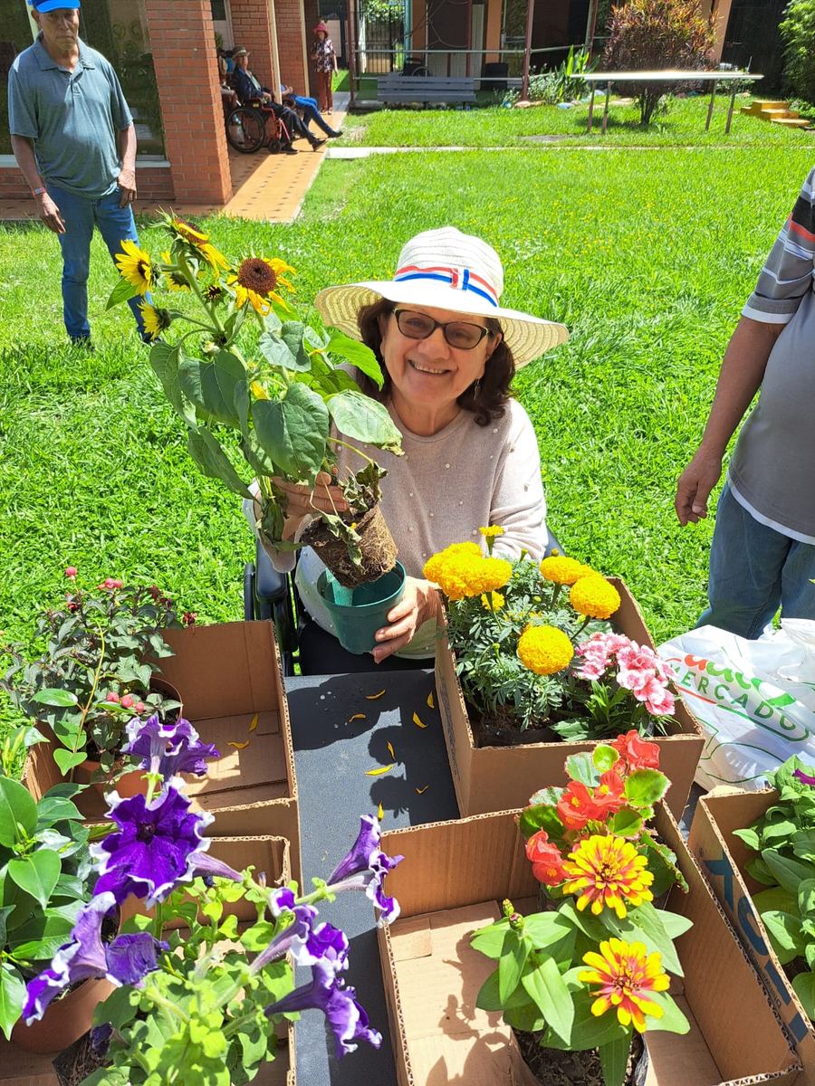 Jardinería terapéutica en el Hogar